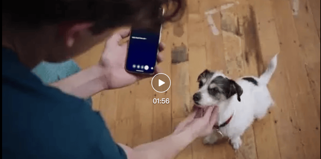 Google's Annual Showcase: All AI Models Upgraded; Gemini 2.5 Dominates Top Spots, New Video/Image… — figure 2