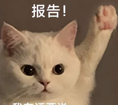 First 'Pengci' Incident Involving a Robotaxi Results in Fine; Wuhan Remains Ahead — figure 4