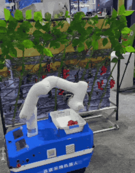 Explore the World Robot Conference Without the Crowds — figure 6