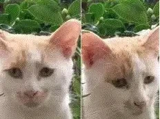 Drama Unfolds: Musk vs. OpenAI Trial Exposes Silicon Valley Secrets, Resembling Neighborhood Squa… — figure 18